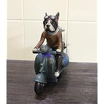 61iiD7Q+SqL._AC_UL210_SR210,